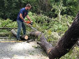 Best Aeration Services  in Kenbridge, VA